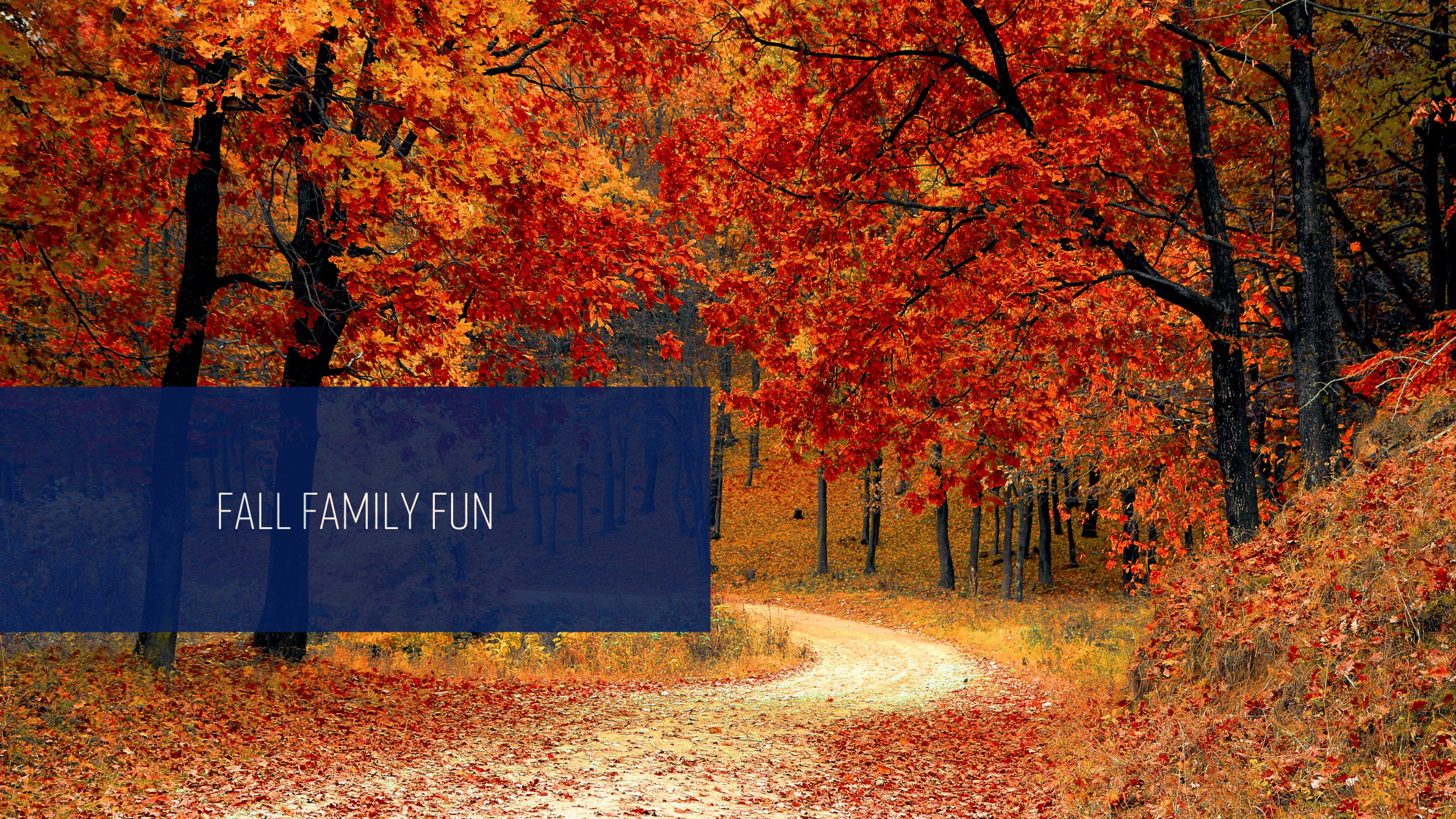 Fall Family Fun Ideas